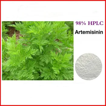 Високо качество на Artemisia Annua екстракт от Artemisinin прах, Artemether 100 г антибактериални лекарства против малария антипаразитарные