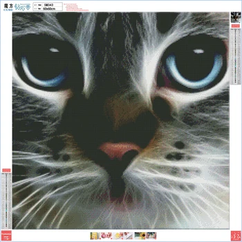 пълен 5D Сам Даймънд живопис кръстат бод котка лице 3D Диамант живопис кръгли кристали и картини бродерия